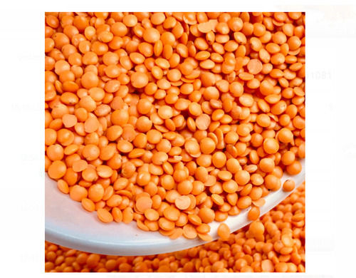 Pack Of 50 Kg Dried Whole Round Shape Common Cultivated Red Masoor Dal