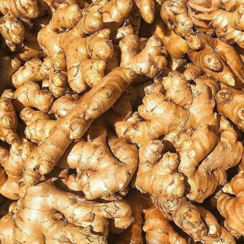1 Kilogram Fresh Common Cultivated Raw Brown Ginger