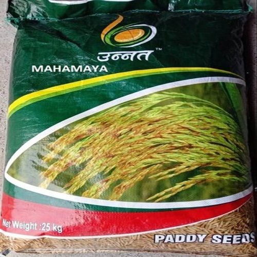 Healthy And Natural Delicious Hygienically Processed Paddy Seed 
