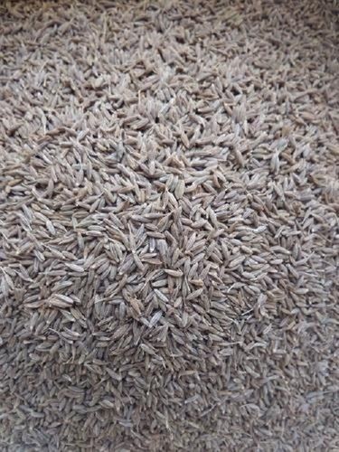 Pcak Of 1 Kilogram Natural And Pure Brown Dried Whole Cumin Seeds