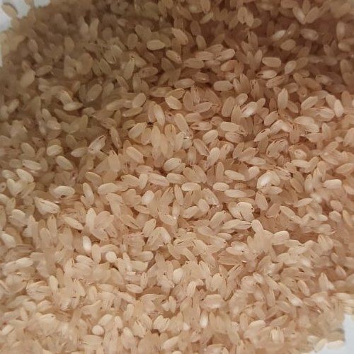 100% Pure And Healthy Indian Origin Brown Short Grain Samba Rice