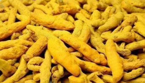 1000 Grams Pack Of Stick Shape Food Grade Dried Turmeric Finger 