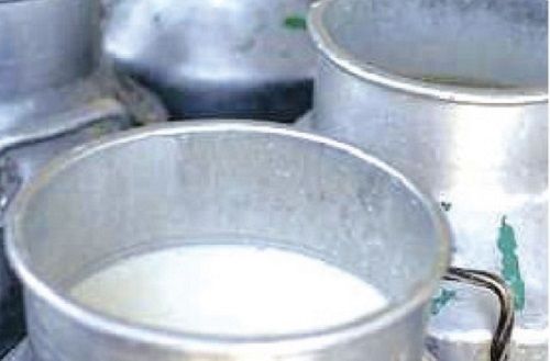 Hygienically Processed Healthy And Nutritious Rich In Protein White Pure Cow Milk