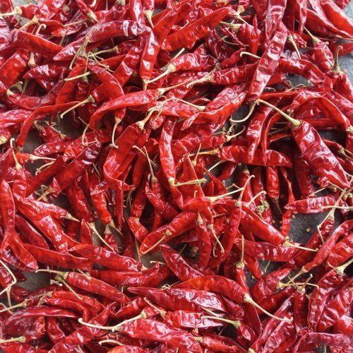 Naturally Grown Spicy Long Shape Pure Dried Red Chilli