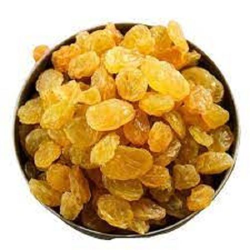Vitamin Rich Hygienically Processed Healthy And Nutritious Golden Raisins Dry Fruits