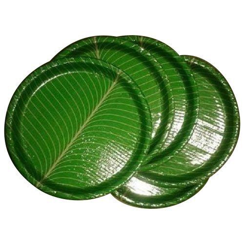 Easy To Use Light Weight Green Colour Round Disposable Paper Plates, 25 Pieces