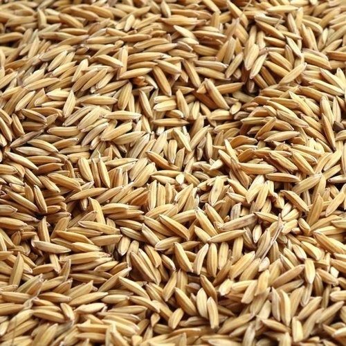 Pack Of 1 Kilogram Brown Natural Paddy Seeds 0% Imperfect Ratio Paddy Seeds 