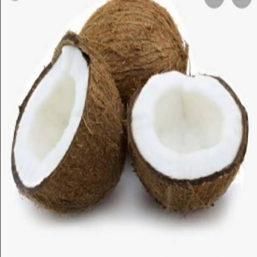 ब्राउन ए ग्रेड सॉइल प्राकृतिक रूप से उगाए गए स्वस्थ विटामिन मिनरल्स से भरपूर प्राकृतिक और खेत में ताजा नारियल