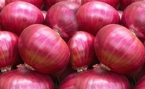 1 Kg Weight A Grade Medium Size Spherical Red Onion 