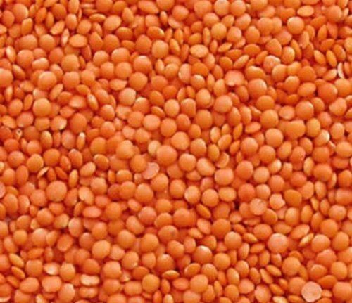 Rich In Proteins Fibers Highly Nutritious Easy To Digest Red Masoor Dal
