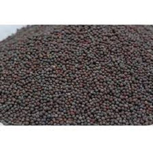 Common A Grade 100% Pure And Natural Best Black Mustard Seed For Cooking 