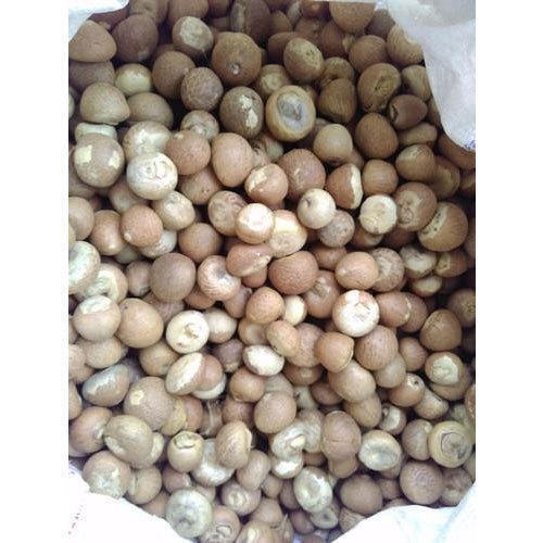 Reduces Swelling In Gums Healthy Natural Solid Brown Round Betel Nuts 