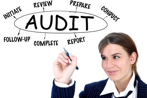 Blue Third Party Audit Training Services