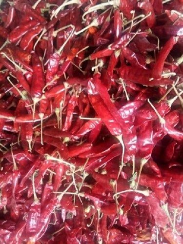 1 Kilogram Pack Size Stick Shape Food Grade Dried Red Chilli