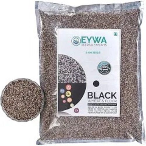1 Kilogram Packaging Size 2 % Moisture Black Natural Wheat Seed 
