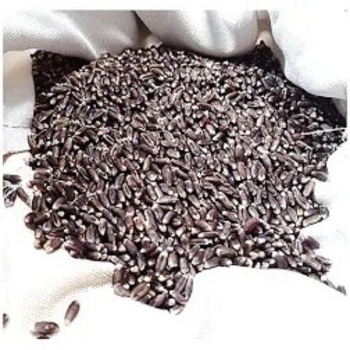  For Agriculture, Pack Of 4 Kg Black Color Natural Wheat Seeds  Shelf Life: 12 Months