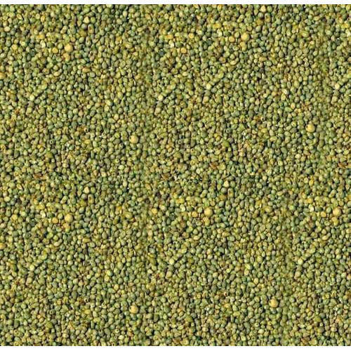 A Grade 100% Pure Healthy Natural Indian Origin Aromatic Rich Fiber And Vitamins Naturally Grown Green Millet - Size: Medium, Color: Green | Crop Year: 12 Months, Purity: 100%, Shelf Life: 3 Years, Style: Dried