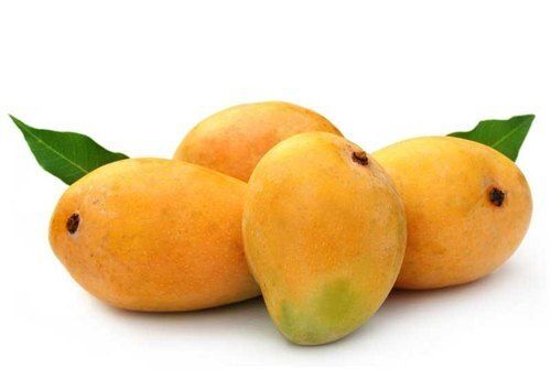 Good For Health Pesticide Free Rich In Vitamin C Fresh Mango