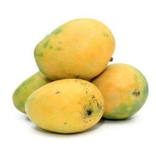 Yellow Good For Health Pesticide Free Rich Taste Rich In Vitamin C Fresh Mangoes