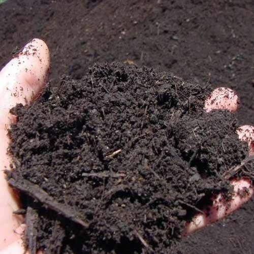Natural Boosts Plant Health Chemical Free Non Toxic Brown Dry Organic Manure