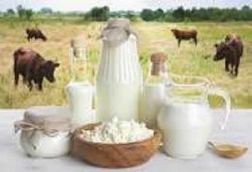 Pack Of 1 Kilogram Fresh And Healthy Rich In Protein Buffalo Milk