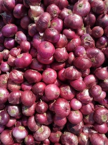 Vitamins Enriched Healthy Farm Fresh And Naturally Grown A Grade Fresh Onion Vegetable Preserving Compound: Raw