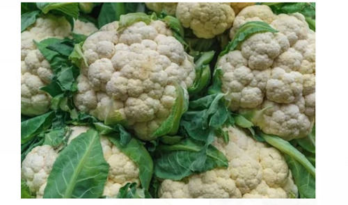 Pack Of 50 Kilogram 4 Days Shelf Life Seasoned Style Fresh Cauliflower  Moisture (%): 7%