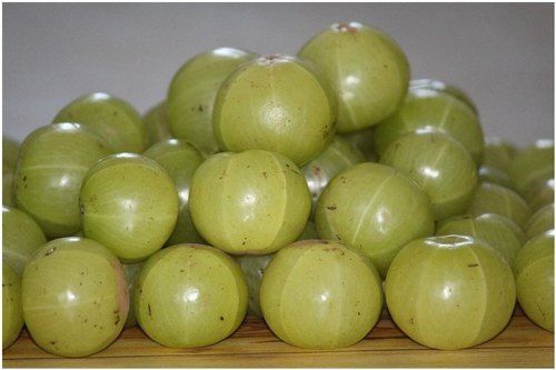 Good Health And Pesticide Free Rich Taste Rich In Vitamin C Fresh A Grade Fresh Amla