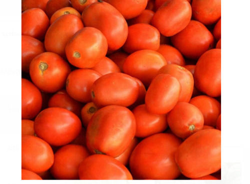 Pack Of 50 Kilogram 5 Percent Moisture Raw Processing Oval Shaped Red Fresh Tomato