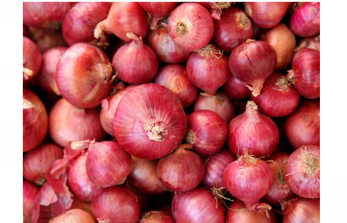 Pack Of 50 Kilogram Round 0.1 Gram Fat 7 Percent Moisture Raw Processing Fresh Onion 