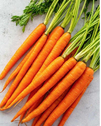 Packaging Size 1 Kilogram Natural And Fresh A Grade Orange Fresh Carrot Moisture (%): 15%