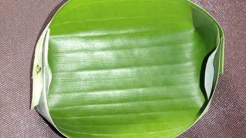 Fresh Natural Green Bow Plate Round Shape Banana Leaf