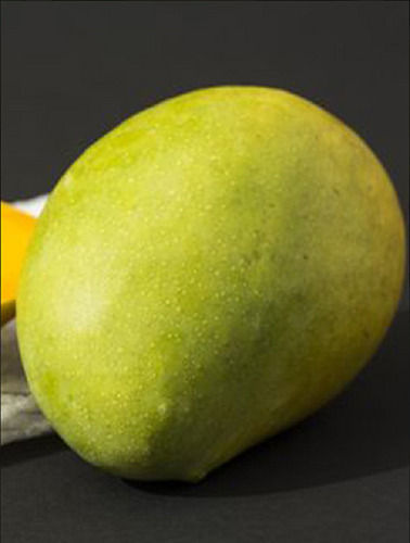Handpicked and Hygienically Packed, Good for Health Delicious Sweet Yellow Kesar Mango