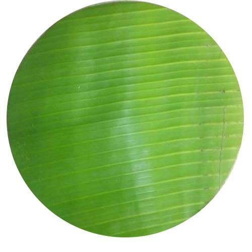 Premium Grade Best Fresh And Natural Green 12 Inch Round Shape Banana Leaf Shelf Life: 1 Days