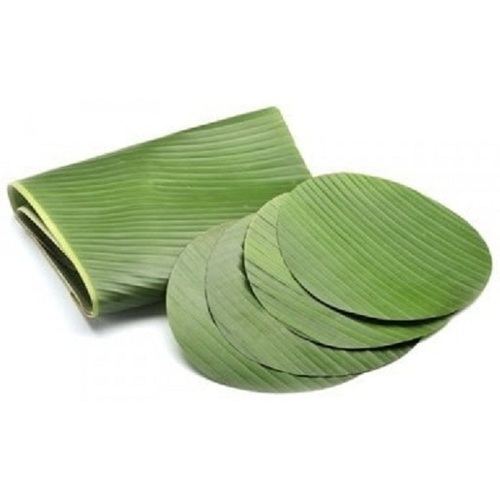 Round Shape Fresh And Natural Traditional Use Green Banana Leaf - Organic Material, Versatile Usage , Eco-Friendly and Sustainable Ingredients