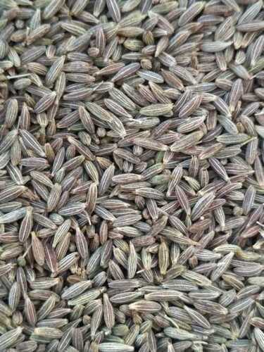 Wholesale Price Premium Quality Natural Dried Cumin Seeds for Spices