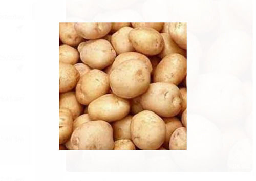 50 Kilogram 1 Week Shelf Life Natural Shape Raw Brown Fresh Potato