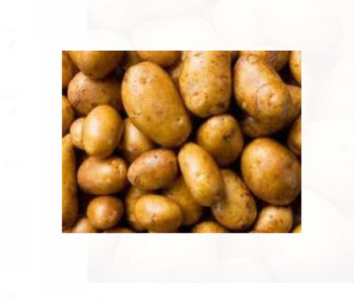 50 Kilogram Raw A Grade Natural Shape Brown Fresh Potatos