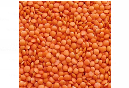 Pack Of 50 Kg Rich In Protein 100% Natural Dried Pulse Red Masoor Dal For Cooking Admixture (%): 5%