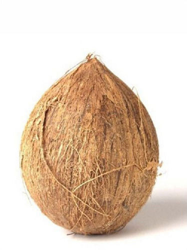 Graded and Sorted A Grade Solid Natural Semi Husked Coconut, Coconut Size: Medium