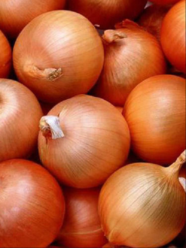 Naturally Grown Dry A Grade Yellow Onion, For Food, Onion Size Available: Medium