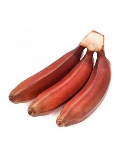 Common 100% Good Health Pesticide Free Rich Taste Rich In Vitamin C Fresh Red Banana