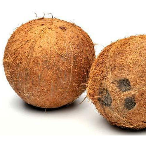 Brown Indian Origin Naturally Grown Vitamins Rich Fiber A Grade Semi Husked Coconut 