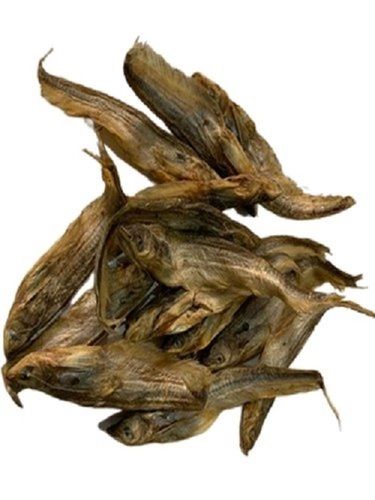 Black Brown Salted Dry Stock Fish, For Cooking, Packaging Type: Loose