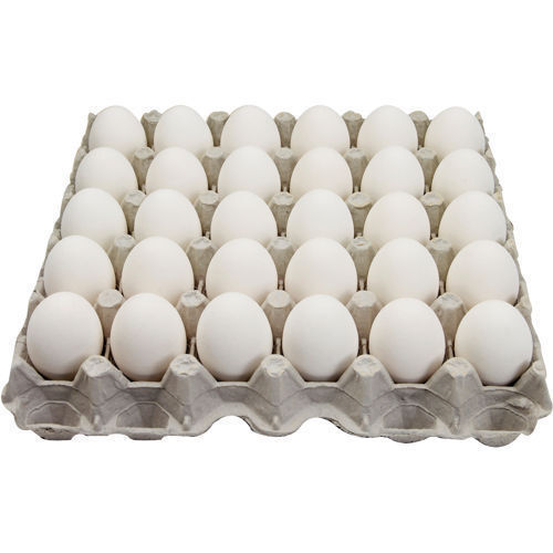 100 Percent Natural Quality And Good For Health Poultry Farm Oval Shape White Egg