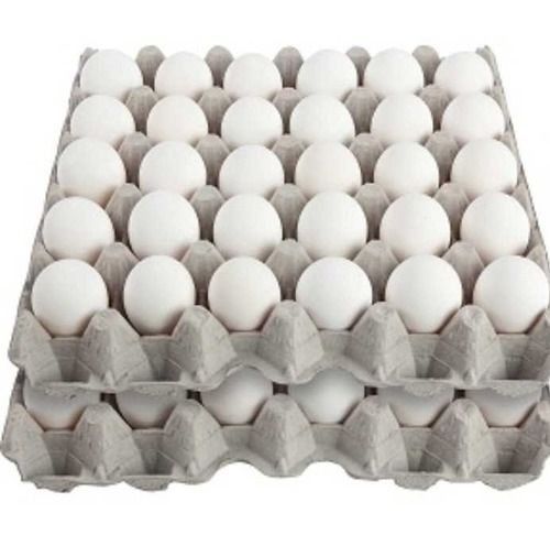  50 ग्राम वजन वाले सफेद अंडाकार आकार के पोल्ट्री अंडे 
