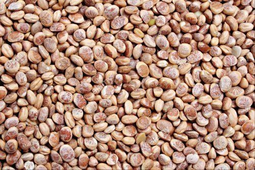 Chironji Seed, Packaging: Loose