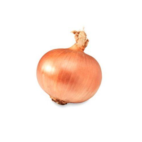 Vitamins Rich Indian Origin Naturally Grown Antioxidants Dry B Grade Brown Onion Preserving Compound: Raw