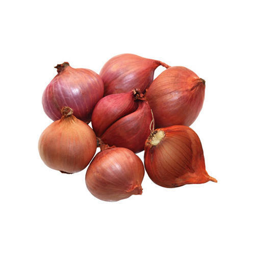 विटामिन से भरपूर स्वस्थ खेत ताजा और प्राकृतिक रूप से उगाया जाने वाला सलाद ब्राउन अनियन प्रिजर्विंग कंपाउंड: कच्चा