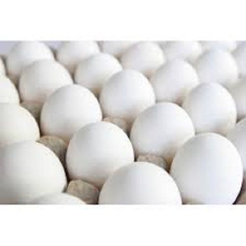 Healthy Fresh And Natural Good Source Of Proteins And Fats White Eggs